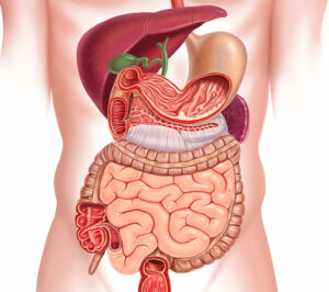 Gastroenterology2 Gastroenterology2